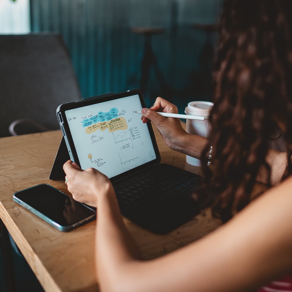 Campaign strategy 2-1