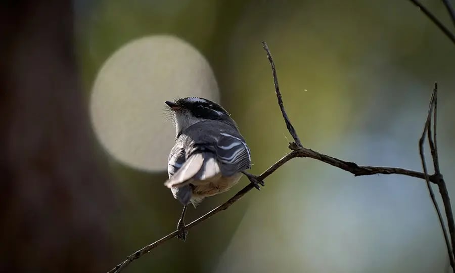 Analytics and Optimization