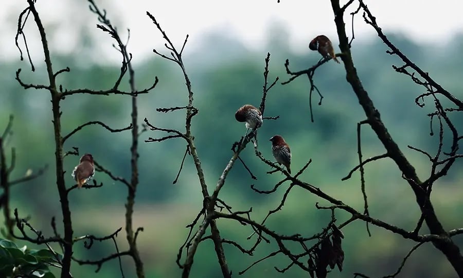 We Understand Energy