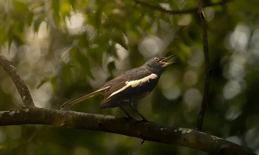 Your 90-day launch plan