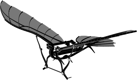 da vinci flying machine