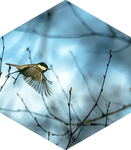 MarTech Enablement and Automation