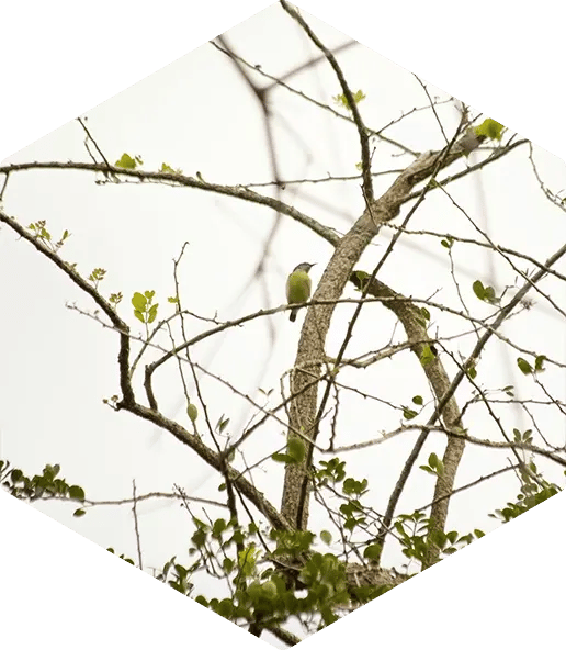 Analytics and Optimization