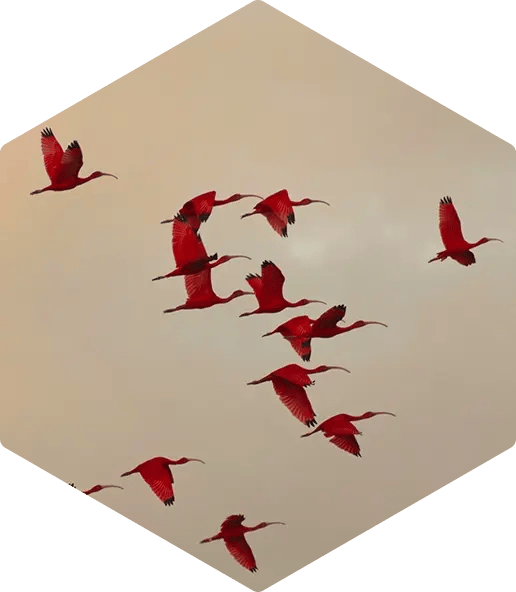 Demand Generation and Customer Lifecycle