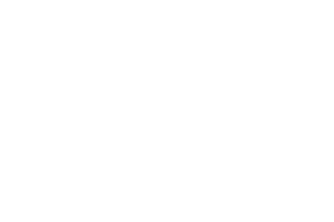 MSNOW Logo