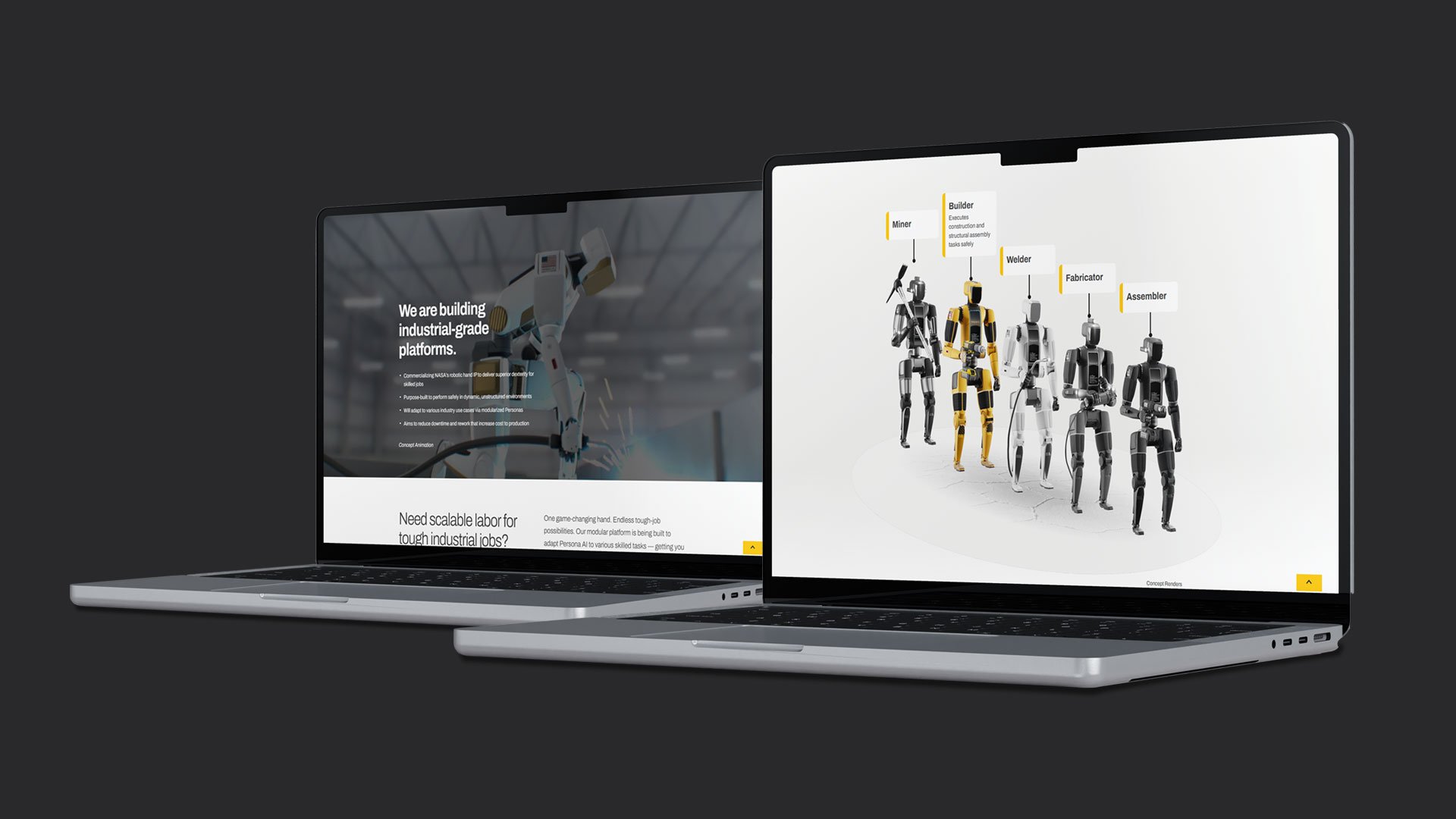 Website02