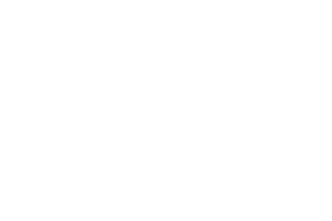 FOXNEWS Logo