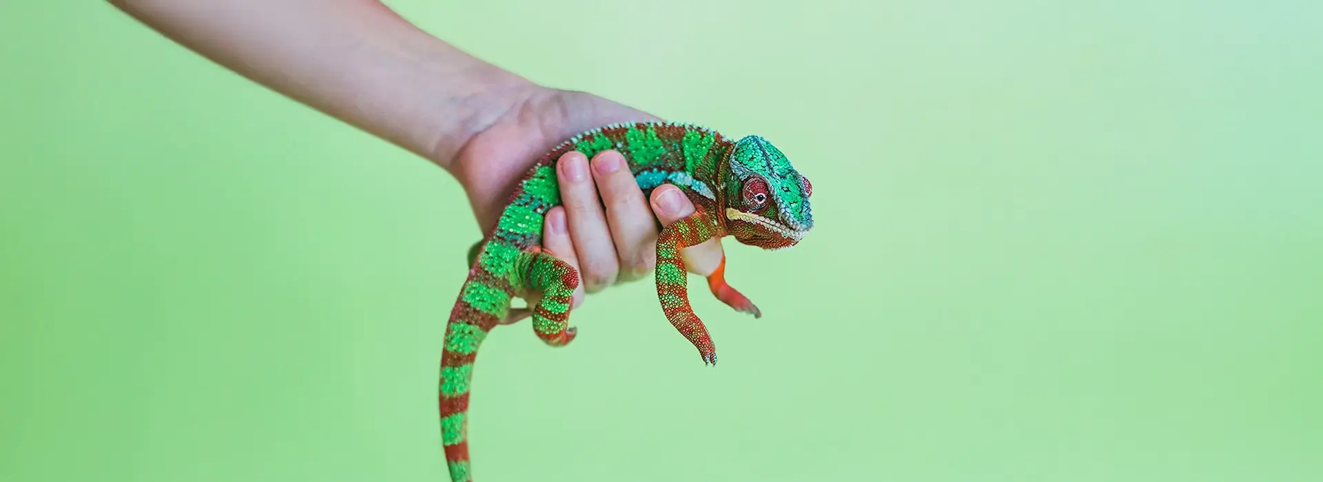 Brand Positioning for Energy Transition