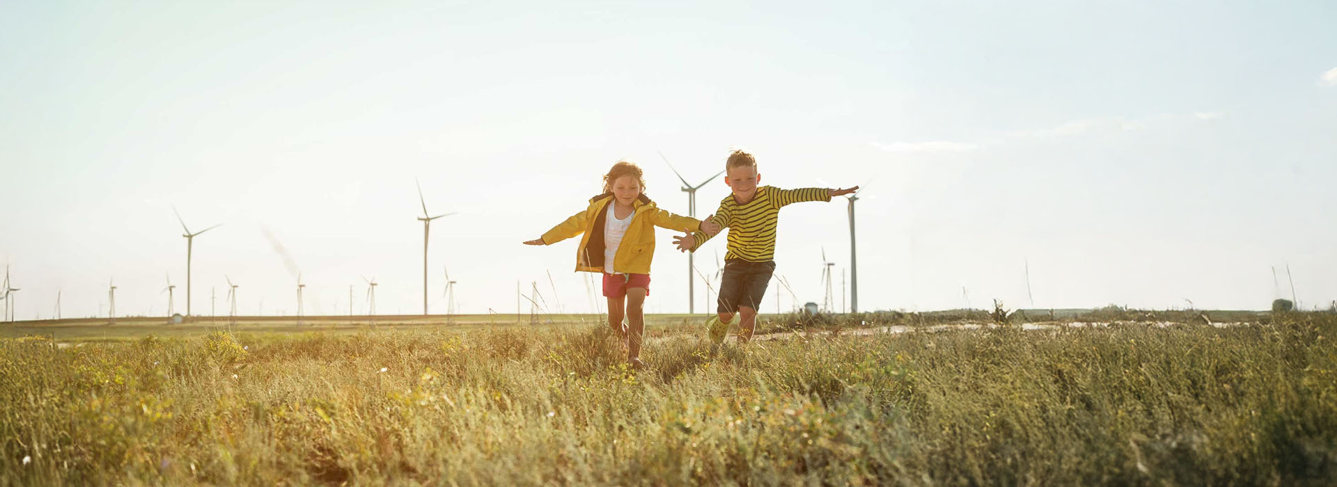 Navigating Sustainable Efforts