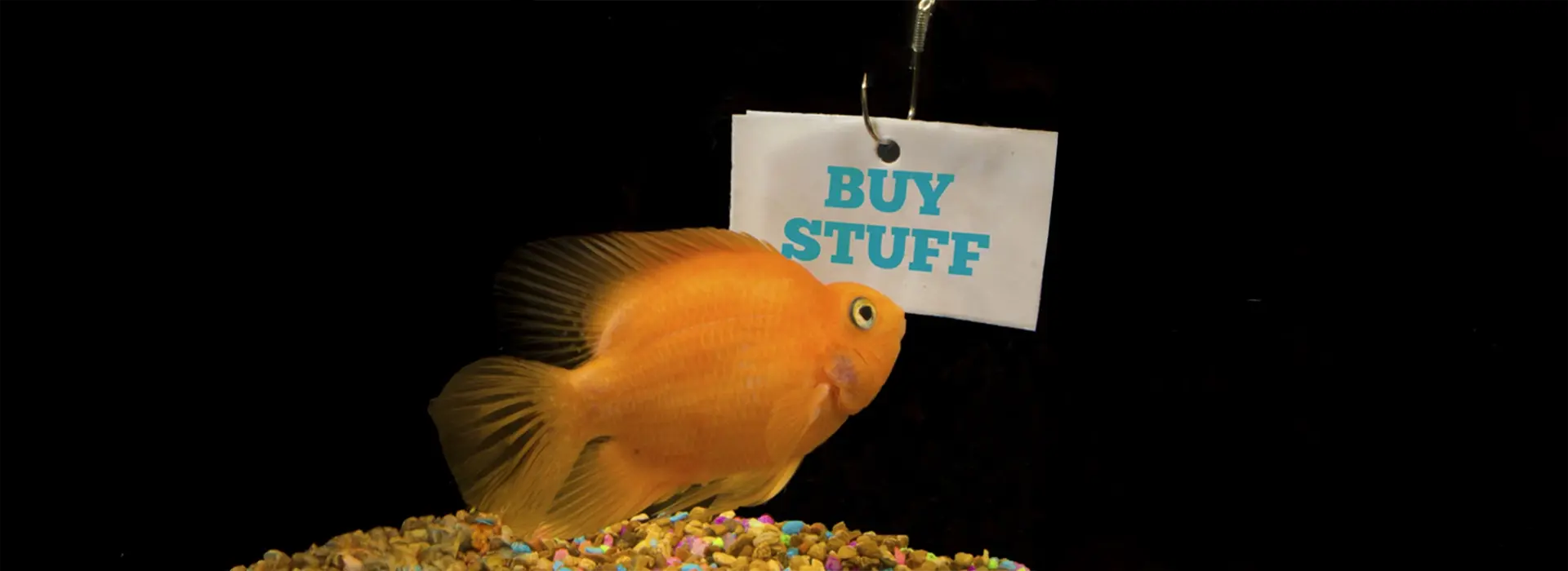 PPC Advertising in Houston: Paid Search & Programmatic Display Ads