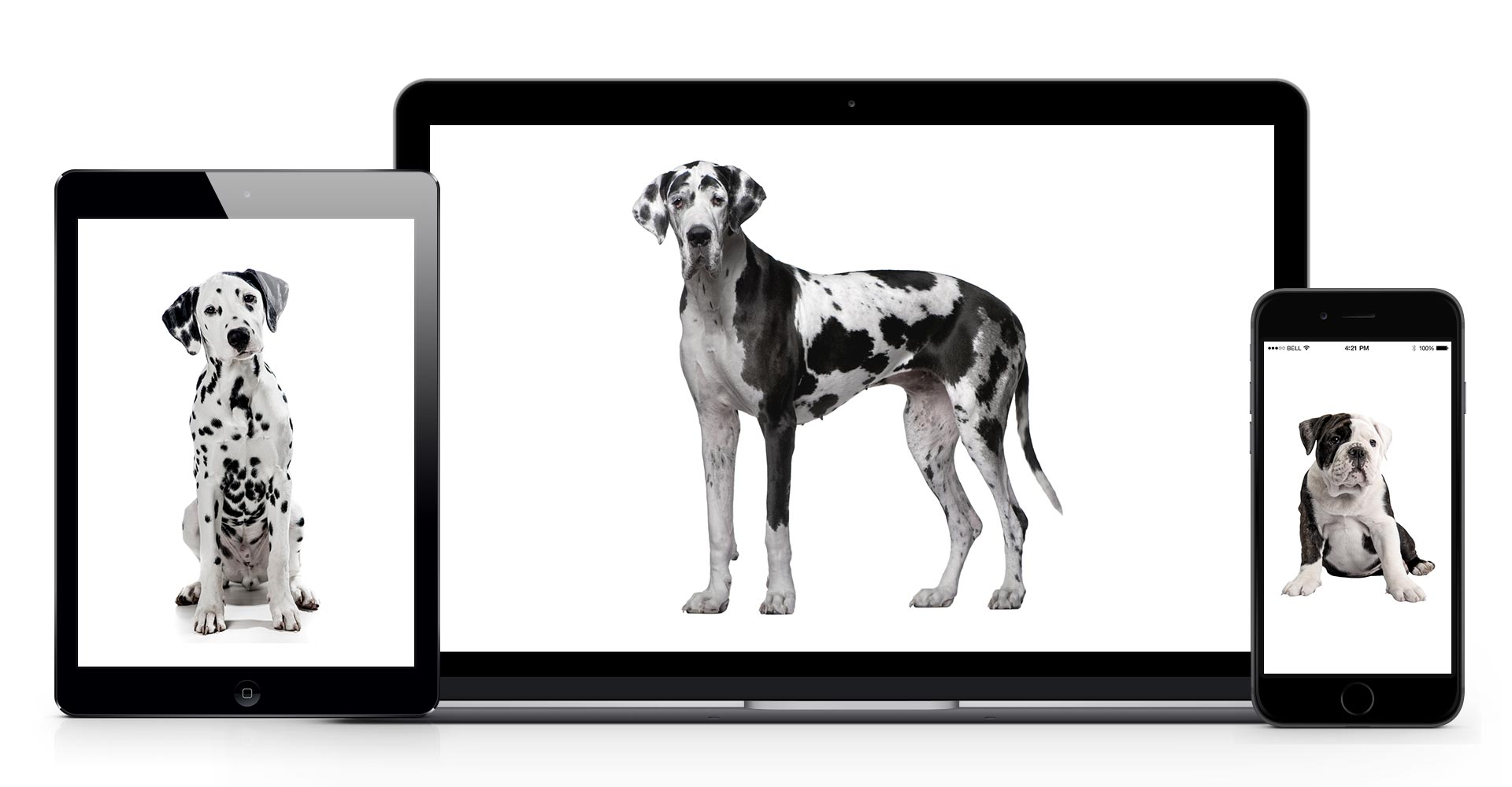 What Everyone Should Know About Responsive Web Design