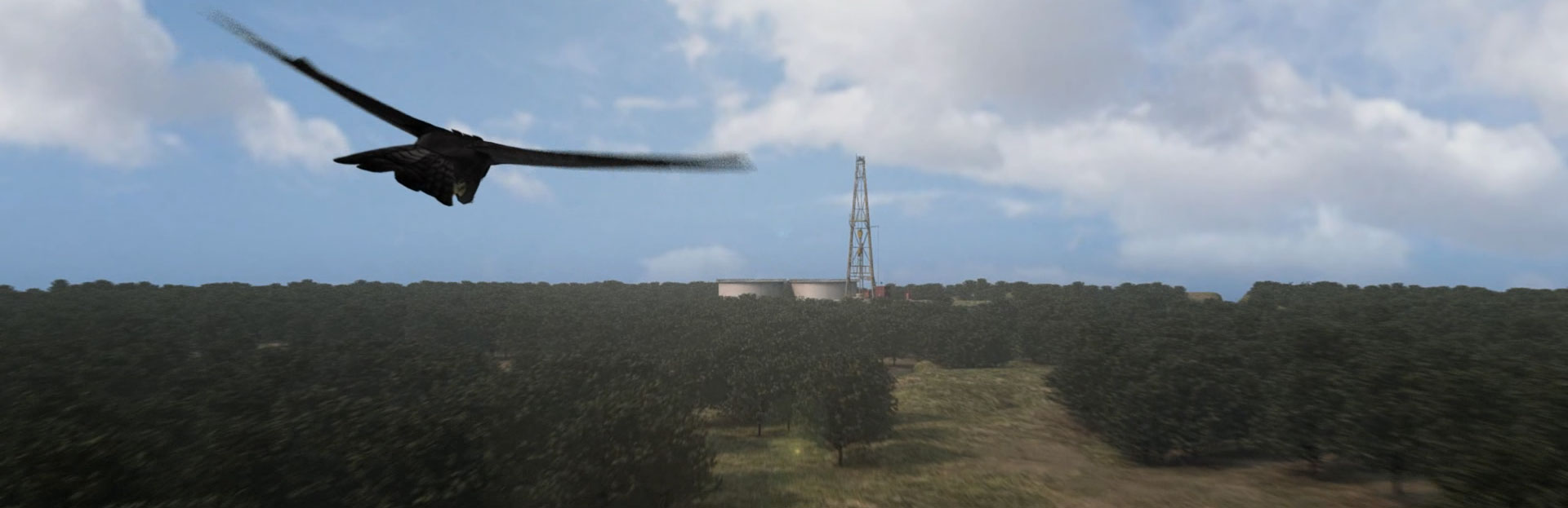 Blackhawk Animations
